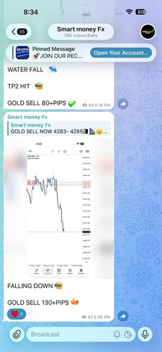 Gold sell, TP2 hit, 80+ pips posted in the channel